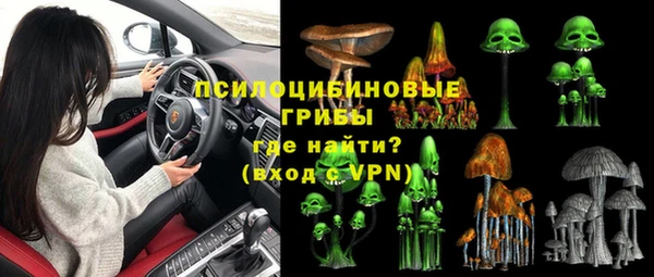 не бодяженный Арсеньев