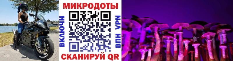 как найти закладки Вилючинск Псилоцибиновые грибы MAGIC MUSHROOMS