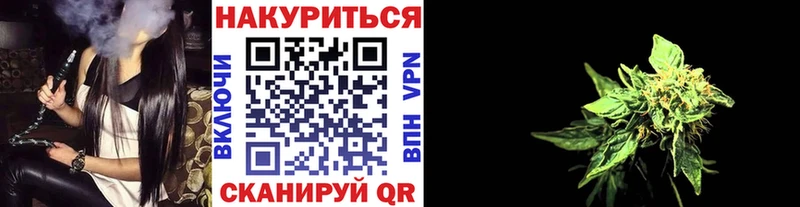 Бошки марихуана сатива  наркотики  Вилючинск 